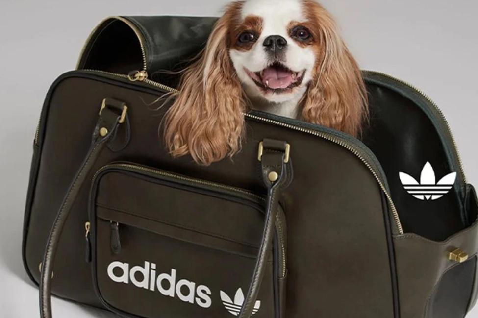 adidas 2.jpg