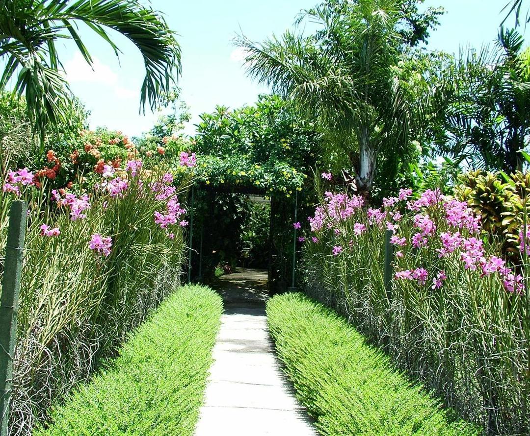 https://cdn.idntimes.com/content-images/post/20171021/v-douglas-walkway-203874a19a01adc0084656268e6b5da3.jpg