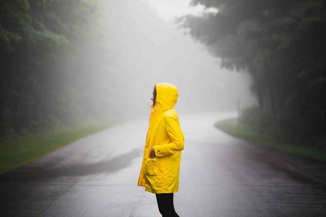 https://cdn.idntimes.com/content-images/post/20180208/webpnet-resizeimage-19-9cc98a4f5e5c11cfbf48f47a8c94bfe0.jpg