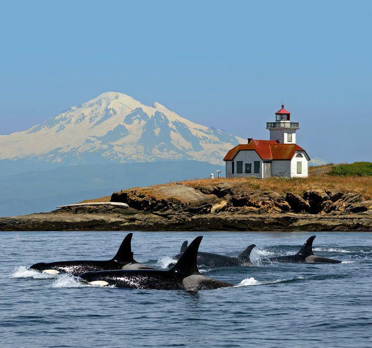 https://cdn.idntimes.com/content-images/post/20171124/1b5ce390ab78243b1900e53929473357-travel-usa-wonderful-places-c59782329ff65dbc6df9767f756a7b3e.jpg