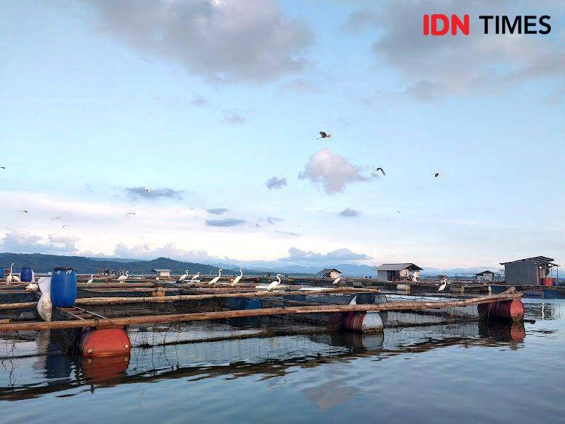 Potret keramba di Waduk Gajah Mungkur Wonogiri (IDN Times/Fasrinisyah Suryaningtyas)
