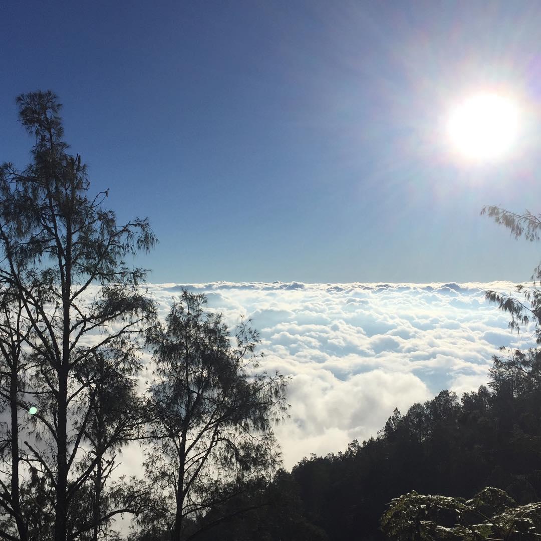 https://cdn.idntimes.com/content-images/post/20171115/agung-2eb7777a5cb6113257c338b60a58d869.jpg