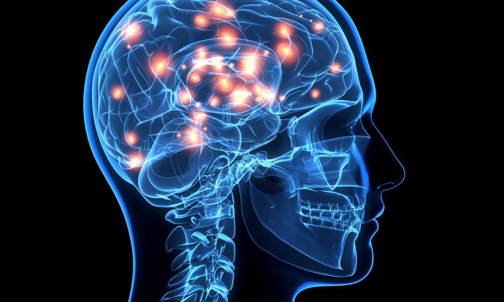 https://cdn.idntimes.com/content-images/post/20180508/brain-gluten-orig-1000x600-53ae039bc789ffa8e3f7e7c5700474b4.png