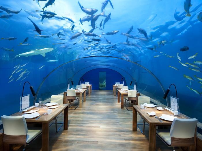 https://cdn.idntimes.com/content-images/post/20171114/cn-thaaundersea01-2-700x525-fittoboxsmalldimension-center-c0cc138127acc2701610f292a4ca532e-a2dfaf39e49fd2b2d362109d28c72c50.jpg