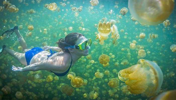 https://cdn.idntimes.com/content-images/post/20171124/derawan-532cdb21ba3d9594be5ee7e547b4aa81.jpg
