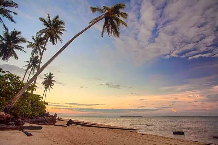https://cdn.idntimes.com/content-images/post/20170928/derawan-a4157a3758a0ad3640dd14421655de67.jpeg