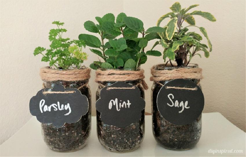 https://cdn.idntimes.com/content-images/post/20171031/diy-mason-jar-herb-garden-5d7140042a00a4d5d5cd04335b7144e3.jpg