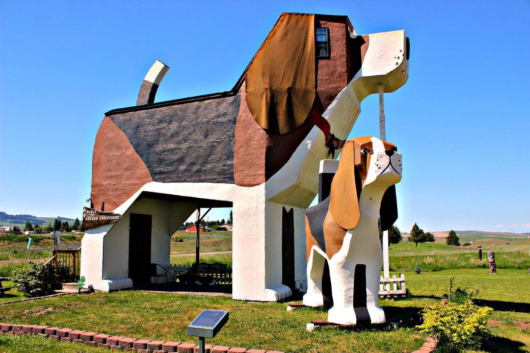 https://cdn.idntimes.com/content-images/post/20171114/dog-bnb2-59b36011199f455fabdff1ee6f7a90fb.jpg