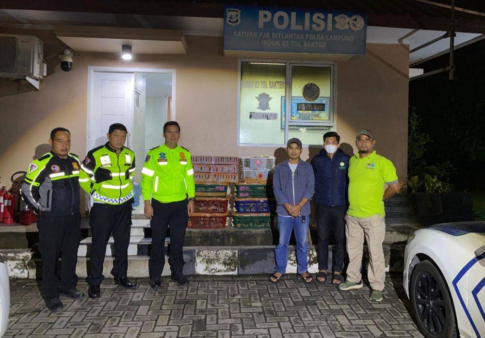Pengungkapan penyelundupan 648 ekor burung ilegal di jalan tol ruas Bakter. (Dok. Polda Lampung).