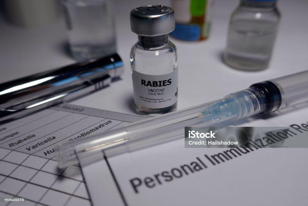 Vaksin rabies. (Dok. iStock)