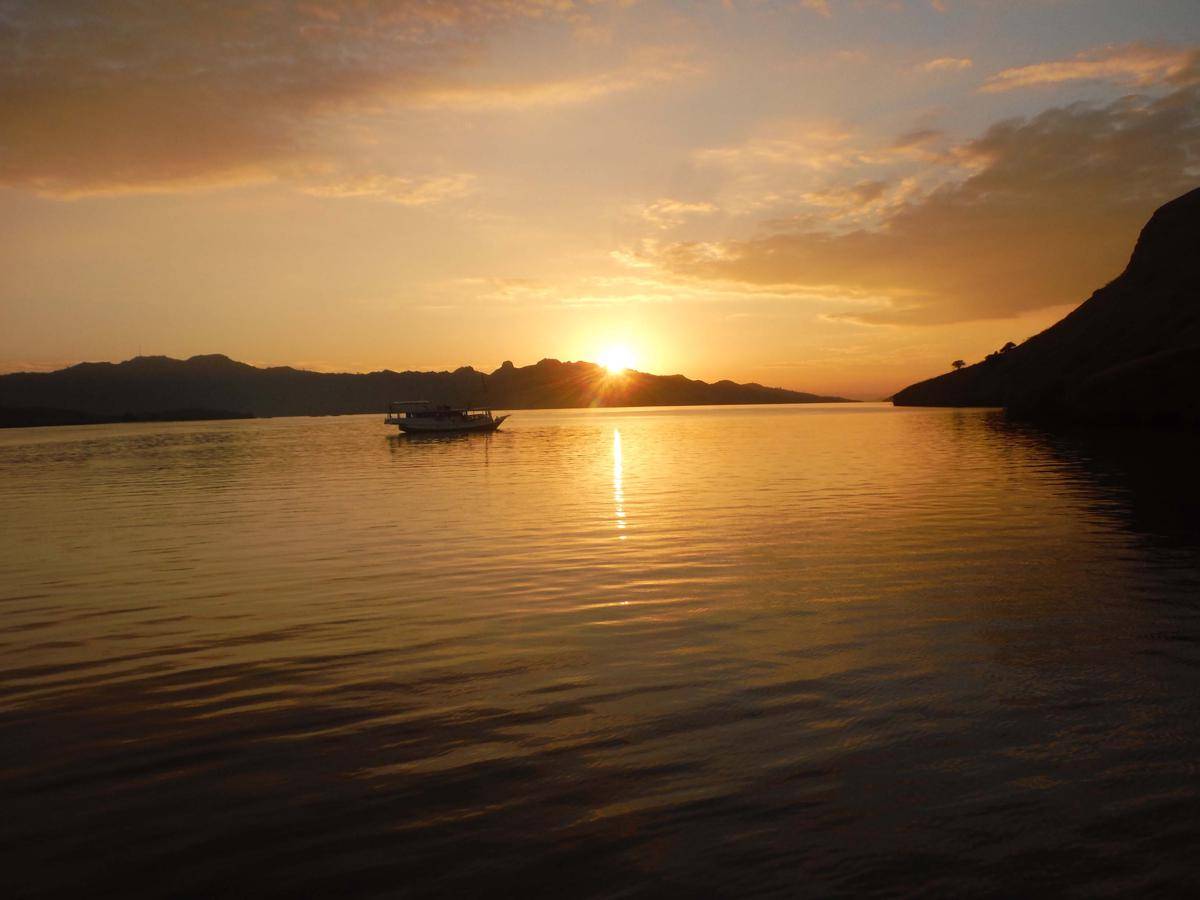 https://cdn.idntimes.com/content-images/post/20161009/komodo7-cadb7bc5198c4486b2409d9489d8ab01.jpg