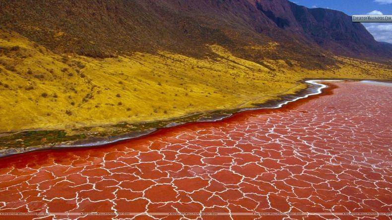 https://cdn.idntimes.com/content-images/post/20170414/lake-natron-12-1a3f356c84d1d478626447ff06089bd9.jpg
