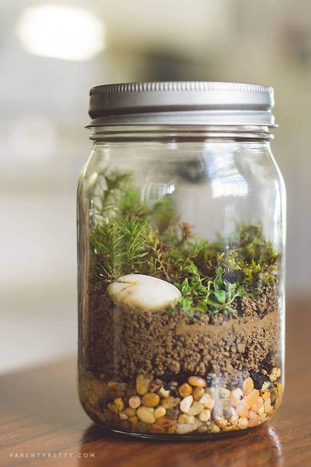 https://cdn.idntimes.com/content-images/post/20171031/mason-jar-terrarium-a2187afdc5507b6c2ace24cc10673e0c.jpg