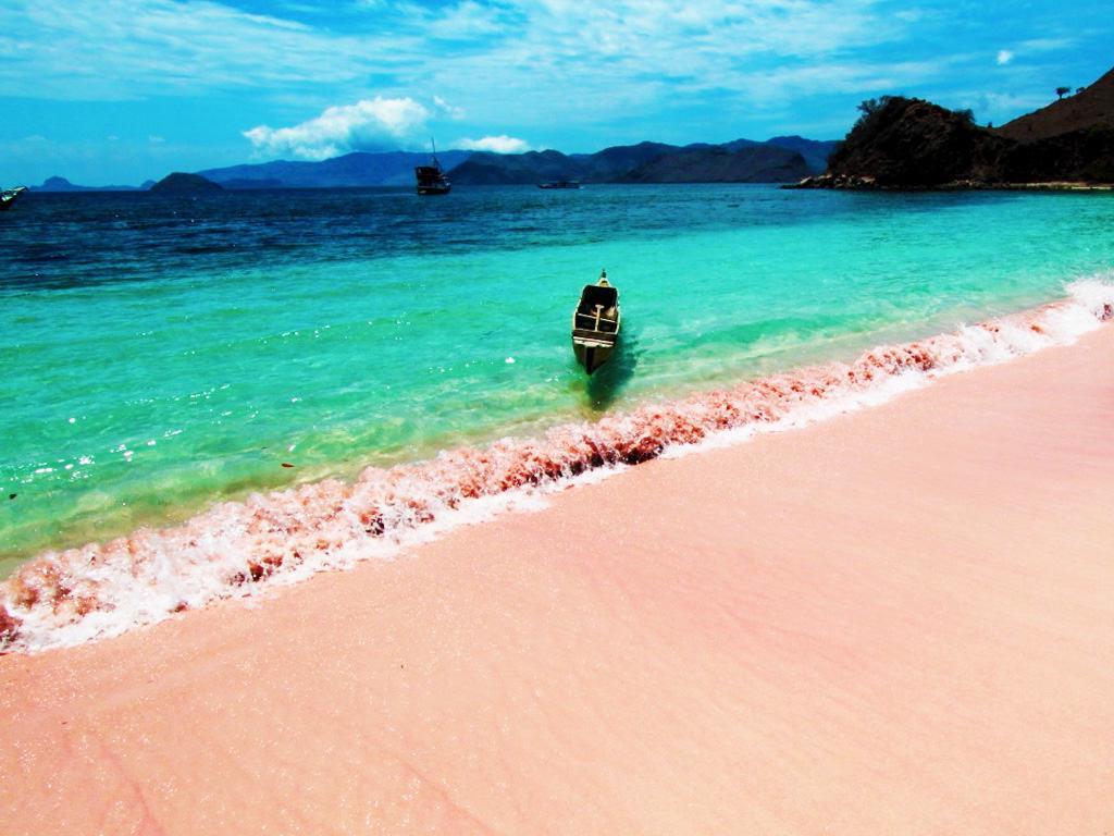 https://cdn.idntimes.com/content-images/post/20170928/pink-c1956b8fd356d353fa2740d56a75737b.jpg