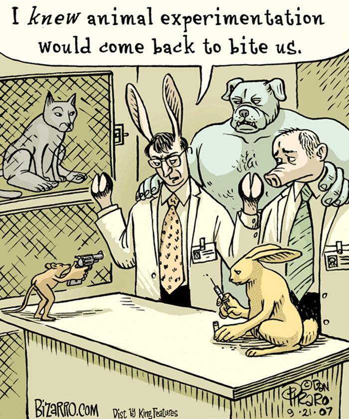 https://cdn.idntimes.com/content-images/post/20170918/satirical-animal-right-comics-parallel-universe-24-1-8d97e9087b3b93363252f04719c8d05e.jpg