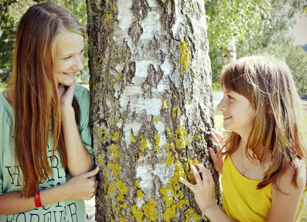 https://cdn.idntimes.com/content-images/post/20170612/sister8-21c838ae0863bab812c6e05b647db781.jpg