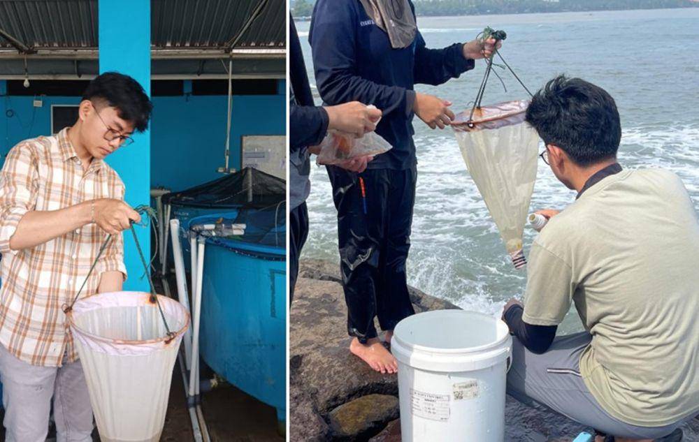 Rendi Satria Telaumbanua, mahasiswa Program Studi Sains Lingkungan Kelautan, Fakultas Sains, Institut Teknologi Sumatera (Itera) (Dok/Humas Itera)