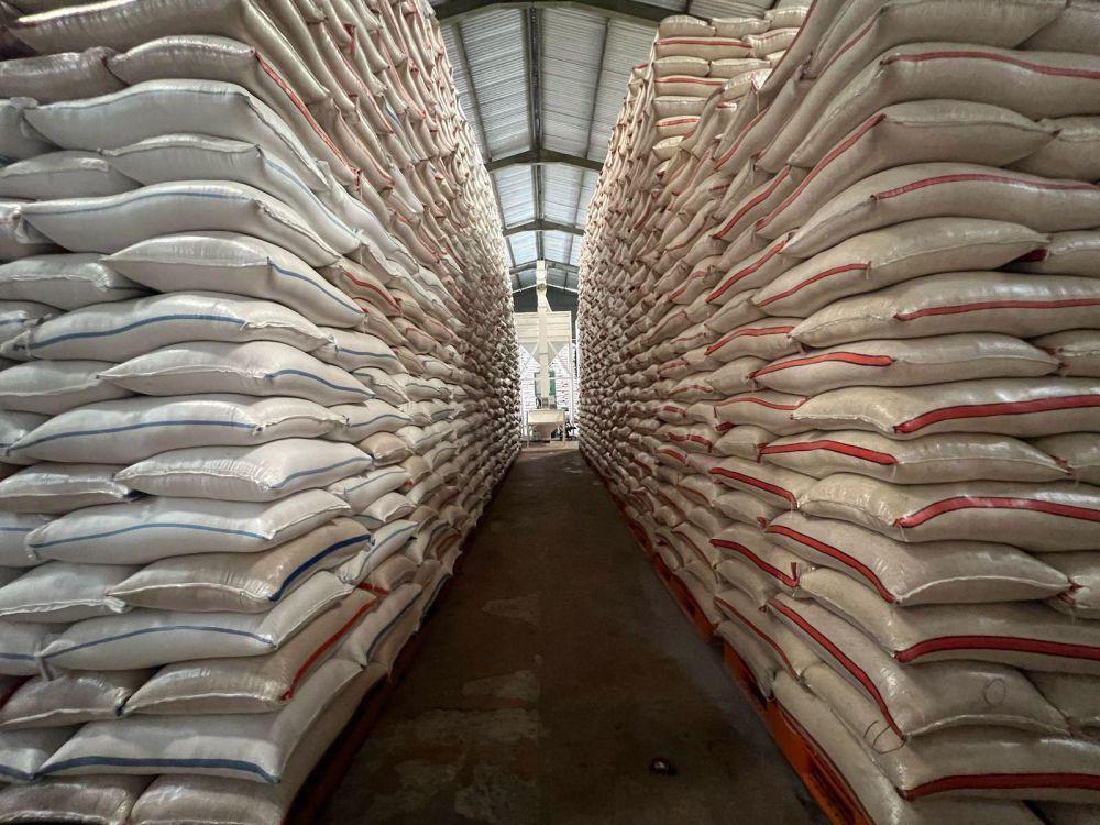 Cirebon Jadi Daerah Serapan Gabah Terbesar Nasional Capai 112.753 Ton