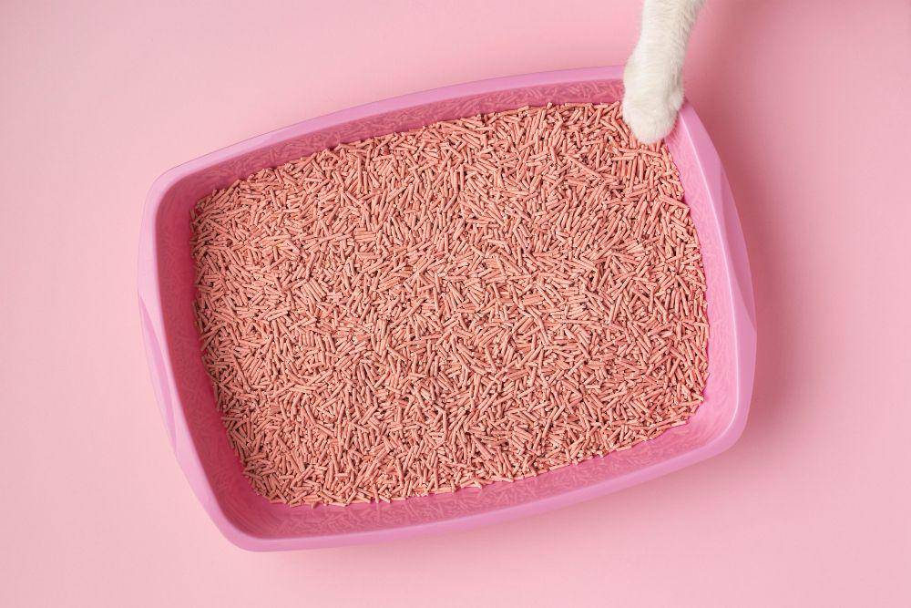 ilustrasi litter box (freepik.com/freepik)