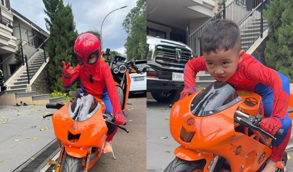 7 Potret Cipung Naik Motor Sport Mini Pakai Kostum Spiderman, Gagah!