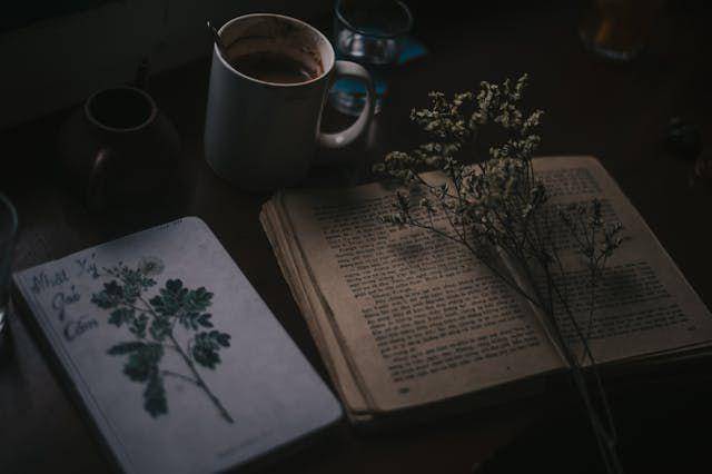 ilustrasi buku (pexels.com/Sheep)