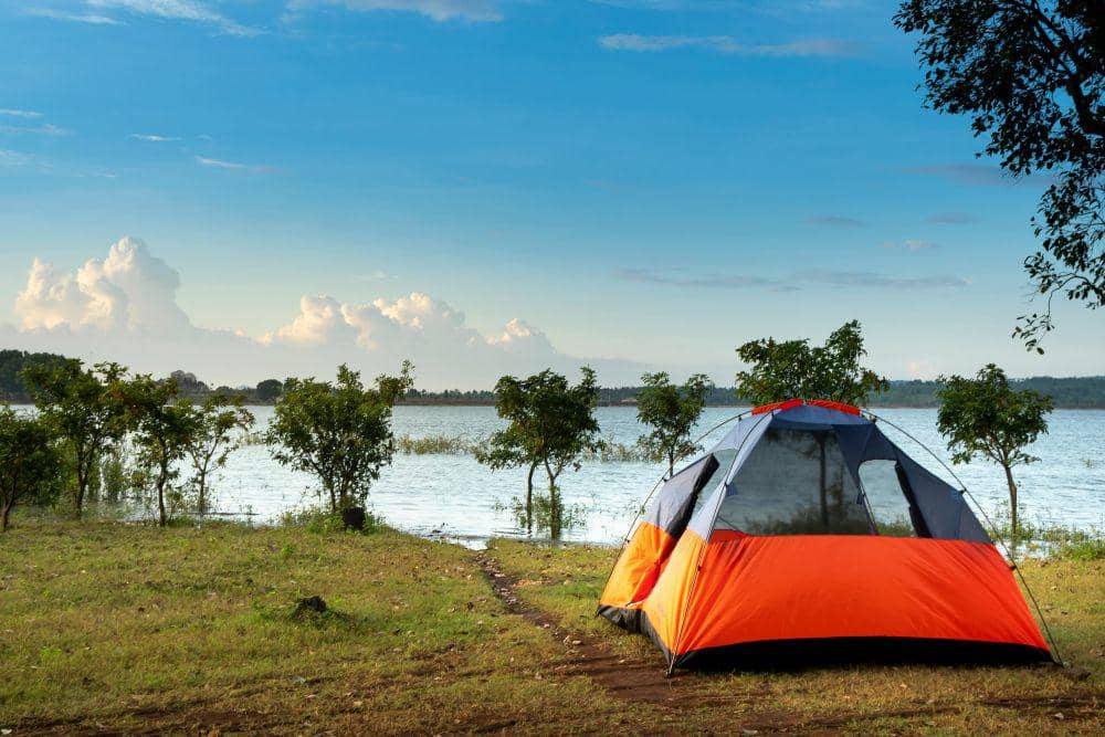 ilustrasi camping