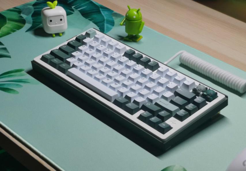 Mechanical Keyboard vs Membrane, Mana yang Cocok buat Produktivitas?