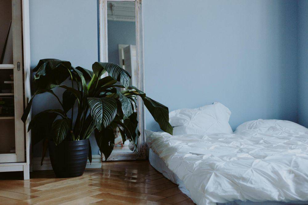 ilustrasi kamar kost (pexels.com/cottonbro studio)