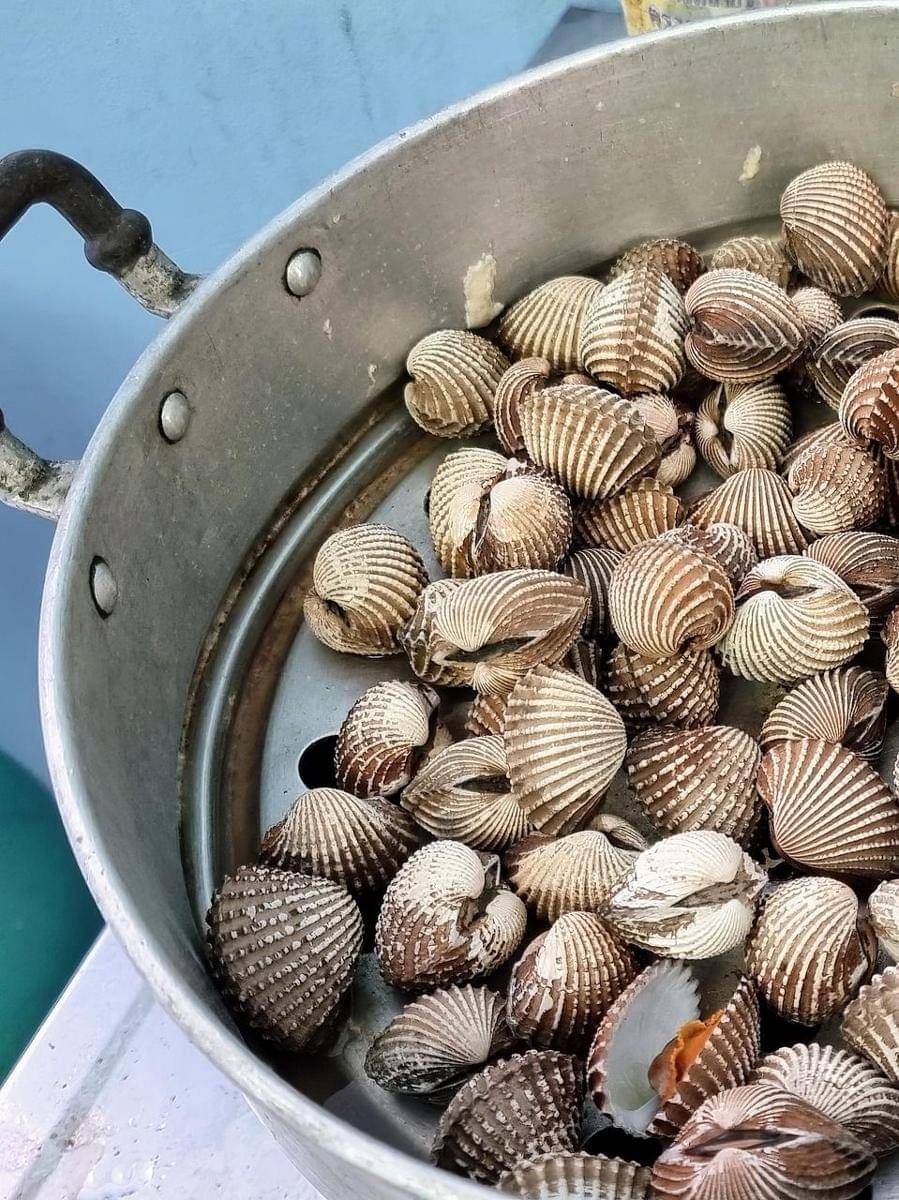 bahan membuat kerang saus padang