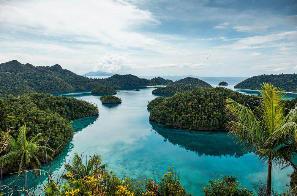 6 Dampak Tambang Nikel di Raja Ampat, Penting Diketahui!