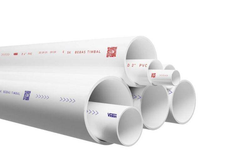 potret Pipa Vinilon (dok. Pipa Vinilon)
