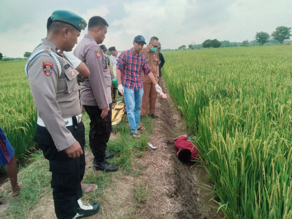 Tersetrum Jebakan Tikus, Petani di Gresik Tewas