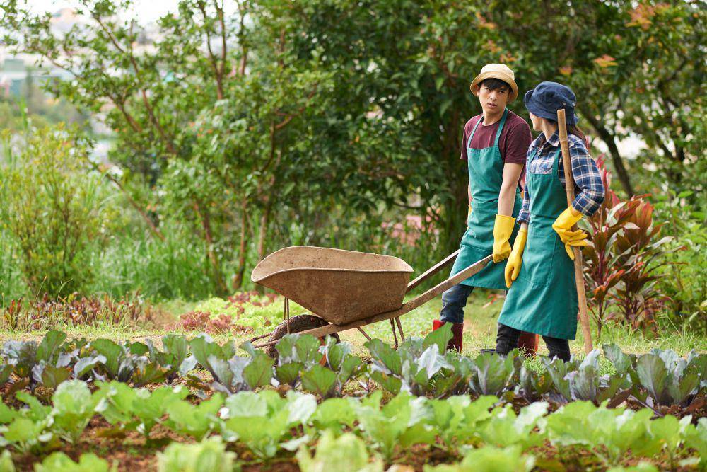 ilustrasi berkebun sayuran (freepik.com/pressfoto)