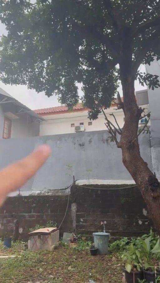 ibu Fadil Jaidi jualan hewan kurban (Instagram.com/fadiljaidi)