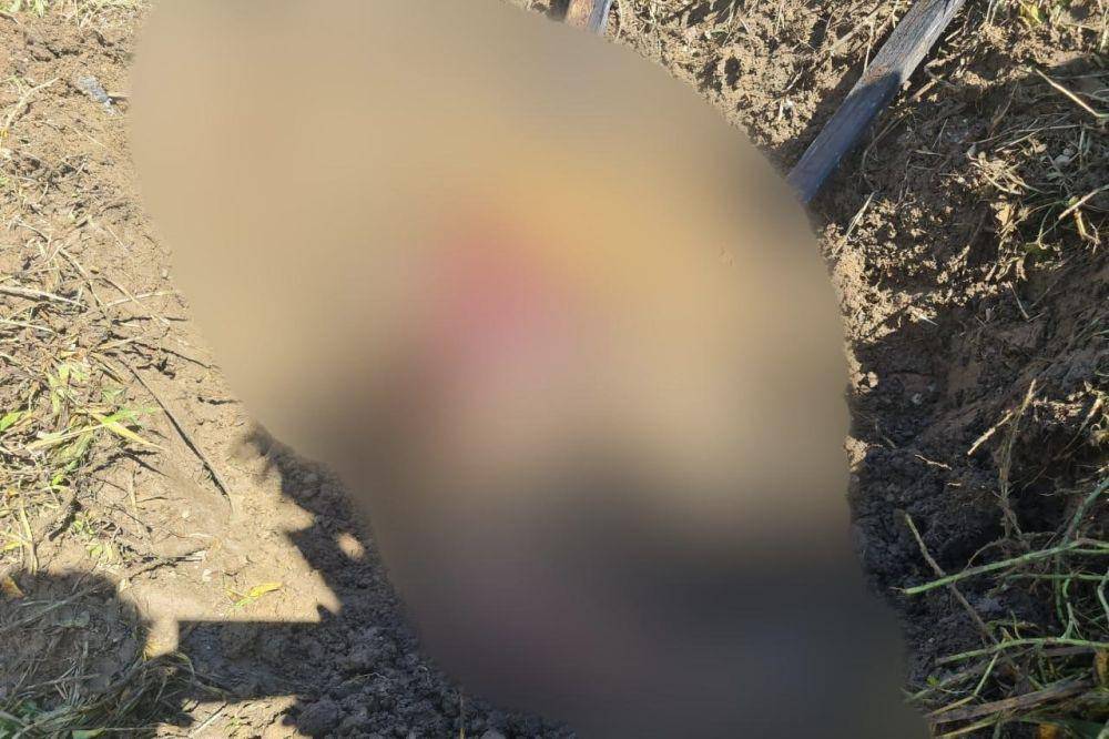 Korban operasi militer Satuan Tugas Habema, Hetina Mirip (dok. Istimewa)