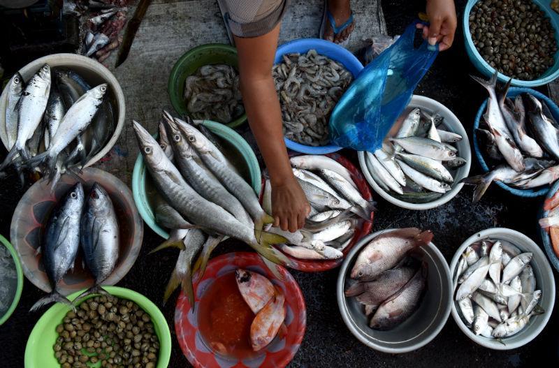 https://cdn.idntimes.com/content-images/post/20170609/antarafoto-harga-ikan-laut-naik-050617-app-6-cc9dd71d3b438f1945aa0846ddb28f56.jpg