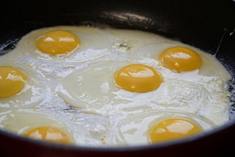 ilustrasi telur goreng (pixabay.com/beauty_of_nature)