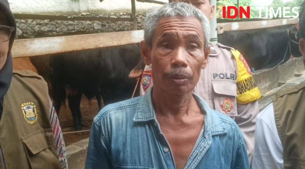 Buang, peternak Sapi kurban di Bandar Lampung. (IDN Times/Muhaimin)