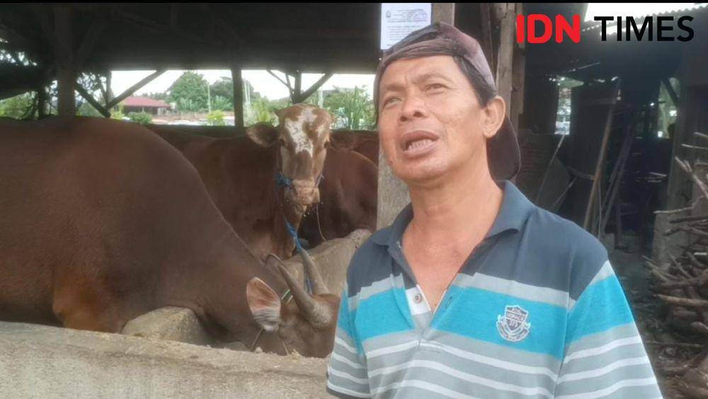 Hendra peternak Sapi kurban di Bandar Lampung. (IDN Times/Muhaimin)