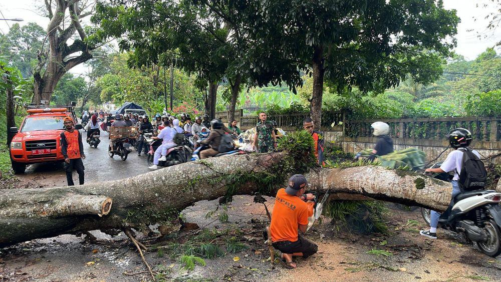 Hujan Deras dan Angin Kencang di Balam, Pohon dan Tembok Roboh