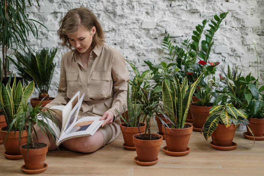 ilustrasi membaca buku di kebun (pexels.com/cottonbro studio)