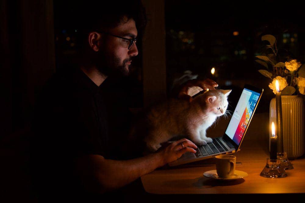 ilustrasi kucing mencuri perhatian pemiliknya saat kerja (pexels.com/Han)