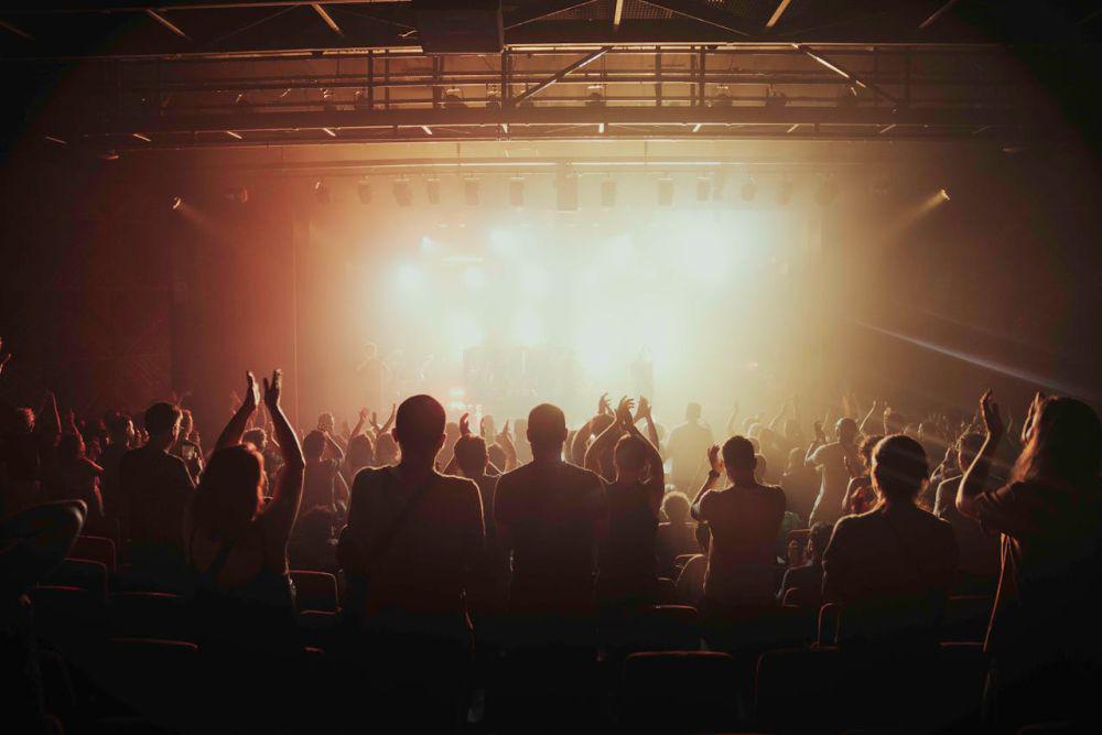 ilustrasi konser (pexels.com/Renan Almeida)