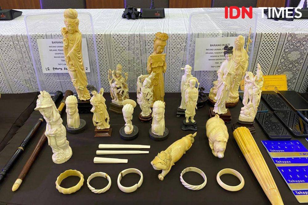 Pengungkapan tindak pidana konservasi sumber daya alam hayati dan ekosistemnya berupa gading gajah oleh Bareskrim Polri, Senin (26/5/2025). (IDN Times/Irfan Fathurohman)
