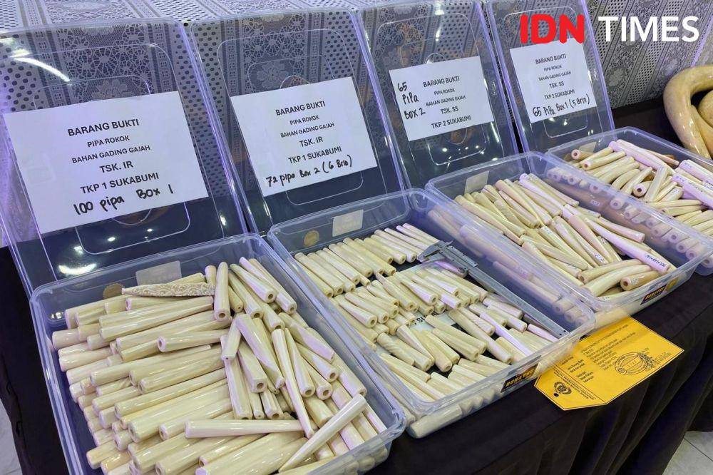 Pengungkapan tindak pidana konservasi sumber daya alam hayati dan ekosistemnya berupa gading gajah oleh Bareskrim Polri, Senin (26/5/2025). (IDN Times/Irfan Fathurohman)