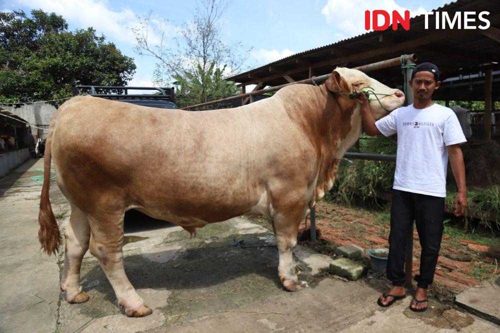 IDN Times/Maya Aulia Aprilianti