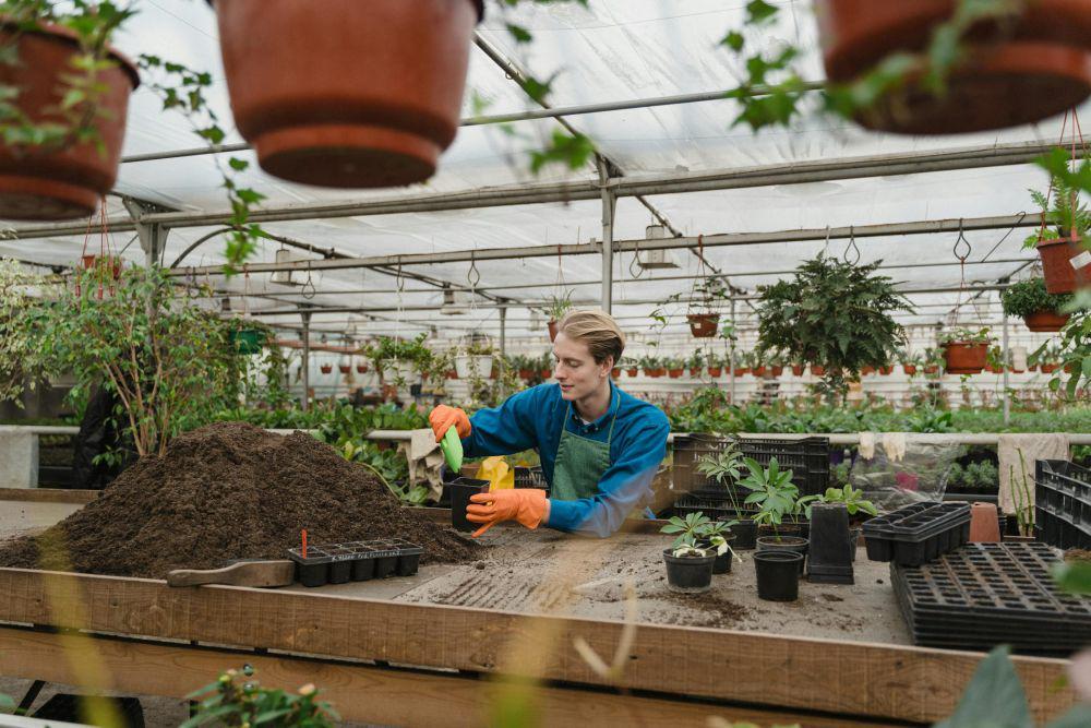 6 Tips Mendapatkan Cuan buat Kamu yang Hobi Berkebun