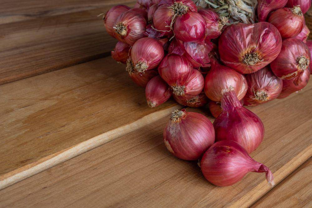Ilustrasi bawang merah (freepik.com/jcomp)