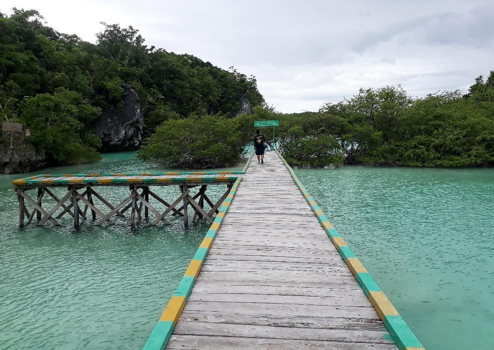 https://cdn.idntimes.com/content-images/post/20180324/20180316-113303-01-resized-a7e36fe27f97209b8422b79b12d2508e.jpeg