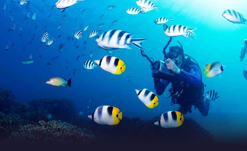 http://cdn.idntimes.com/content-images/post/old/21c0d-pulau-weh1.jpg